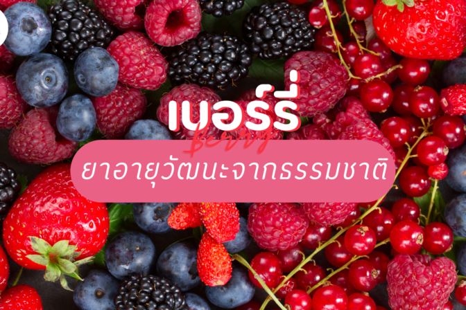เบอร์รี่ ยาอายุวัฒนะจากธรรมชาติ - ศูนย์ดูแลผู้สูงอายุลาดพร้าว