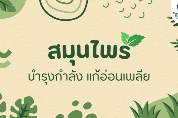 สมุนไพร บำรุงกำลัง แก้อ่อนเพลีย - ศูนย์ดูแลผู้สูงอายุลาดพร้าว