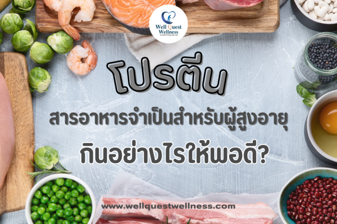 โปรตีน สารอาหารจำเป็นสำหรับผู้สูงอายุ กินอย่างไรให้พอดี